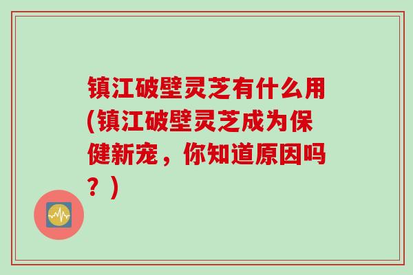 镇江破壁灵芝有什么用(镇江破壁灵芝成为保健新宠，你知道原因吗？)