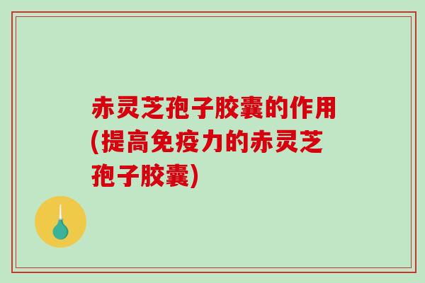 赤灵芝孢子胶囊的作用(提高免疫力的赤灵芝孢子胶囊)
