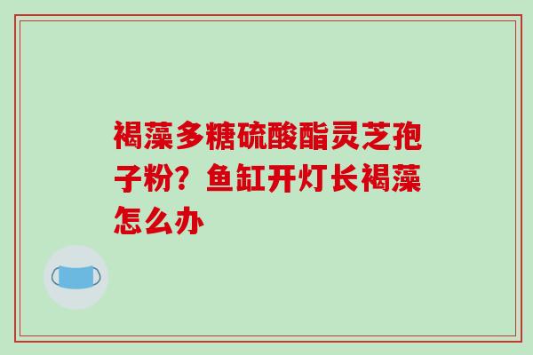 褐藻多糖硫酸酯灵芝孢子粉？鱼缸开灯长褐藻怎么办