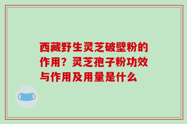 西藏野生灵芝破壁粉的作用？灵芝孢子粉功效与作用及用量是什么
