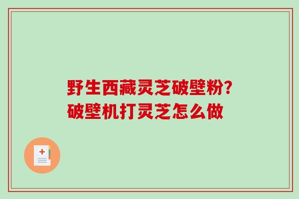 野生西藏灵芝破壁粉？破壁机打灵芝怎么做