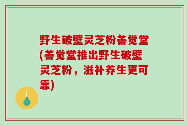 野生破壁灵芝粉善觉堂(善觉堂推出野生破壁灵芝粉，滋补养生更可靠)