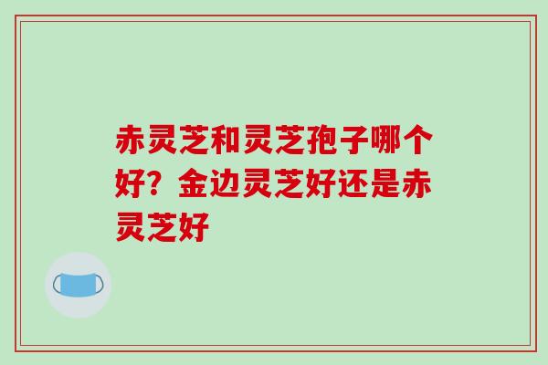 赤灵芝和灵芝孢子哪个好？金边灵芝好还是赤灵芝好