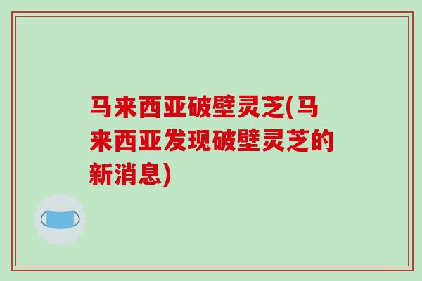 马来西亚破壁灵芝(马来西亚发现破壁灵芝的新消息)
