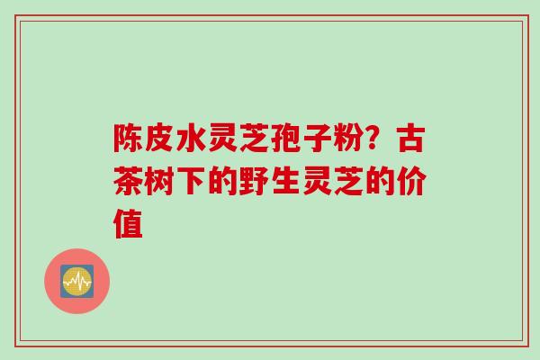 陈皮水灵芝孢子粉？古茶树下的野生灵芝的价值