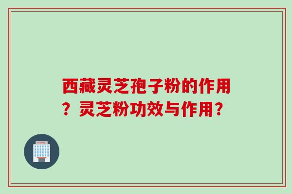 西藏灵芝孢子粉的作用？灵芝粉功效与作用？