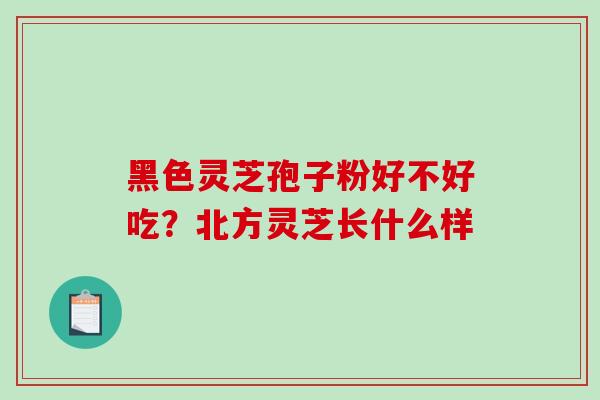 黑色灵芝孢子粉好不好吃？北方灵芝长什么样