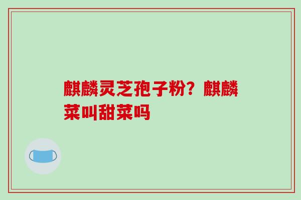 麒麟灵芝孢子粉？麒麟菜叫甜菜吗