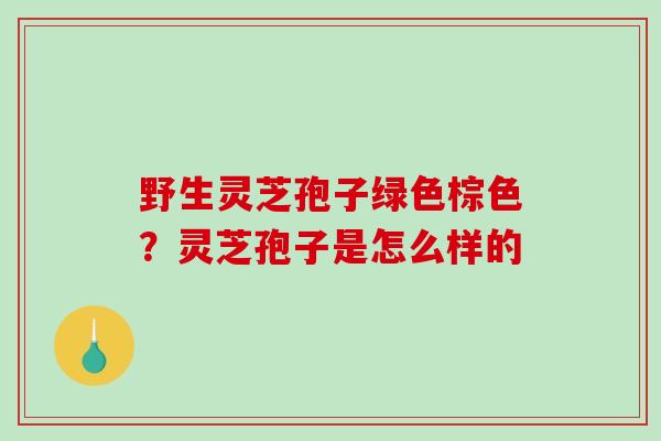 野生灵芝孢子绿色棕色？灵芝孢子是怎么样的