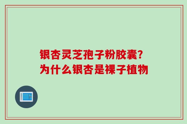 银杏灵芝孢子粉胶囊？为什么银杏是裸子植物