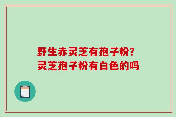 野生赤灵芝有孢子粉？灵芝孢子粉有白色的吗