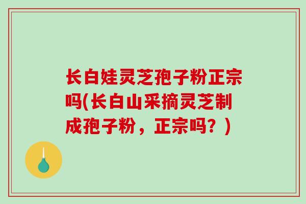 长白娃灵芝孢子粉正宗吗(长白山采摘灵芝制成孢子粉，正宗吗？)