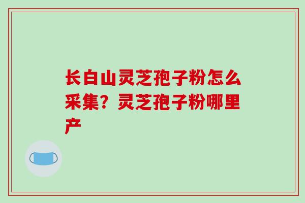 长白山灵芝孢子粉怎么采集？灵芝孢子粉哪里产