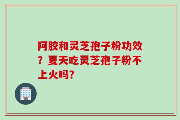 阿胶和灵芝孢子粉功效？夏天吃灵芝孢子粉不上火吗？