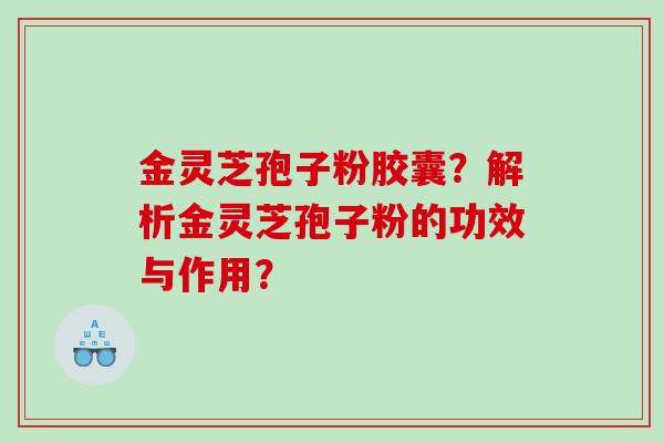 金灵芝孢子粉胶囊？解析金灵芝孢子粉的功效与作用？