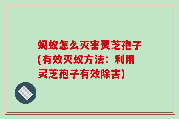 蚂蚁怎么灭害灵芝孢子(有效灭蚁方法：利用灵芝孢子有效除害)