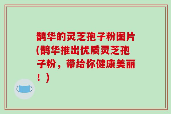 鹊华的灵芝孢子粉图片(鹊华推出优质灵芝孢子粉，带给你健康美丽！)