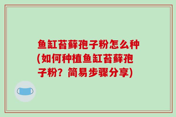 鱼缸苔藓孢子粉怎么种(如何种植鱼缸苔藓孢子粉？简易步骤分享)