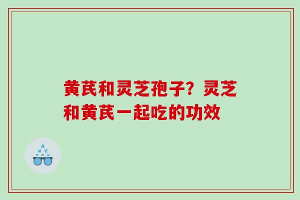 黄芪和灵芝孢子？灵芝和黄芪一起吃的功效