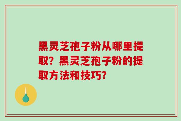 黑灵芝孢子粉从哪里提取?黑灵芝孢子粉的提取方法和技巧? 黑灵芝孢子粉从哪里提取?黑灵芝孢子粉的提取方法和技巧?