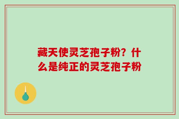 藏天使灵芝孢子粉？什么是纯正的灵芝孢子粉