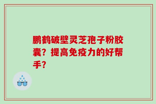 鹏鹤破壁灵芝孢子粉胶囊？提高免疫力的好帮手？