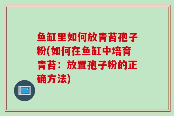 鱼缸里如何放青苔孢子粉(如何在鱼缸中培育青苔:放置孢子粉的正确方法) 鱼缸里如何放青苔孢子粉(如何在鱼缸中培育青苔:放置孢子粉的正确方法)