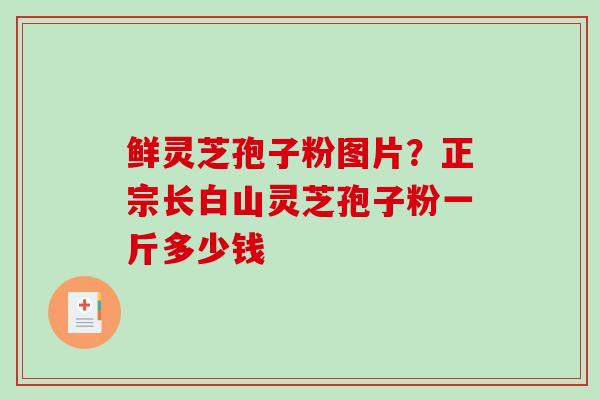 鲜灵芝孢子粉图片?正宗长白山灵芝孢子粉一斤多少钱 鲜灵芝孢子粉图片?正宗长白山灵芝孢子粉一斤多少钱