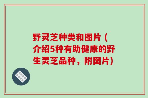 野灵芝种类和图片 (介绍5种有助健康的野生灵芝品种，附图片)