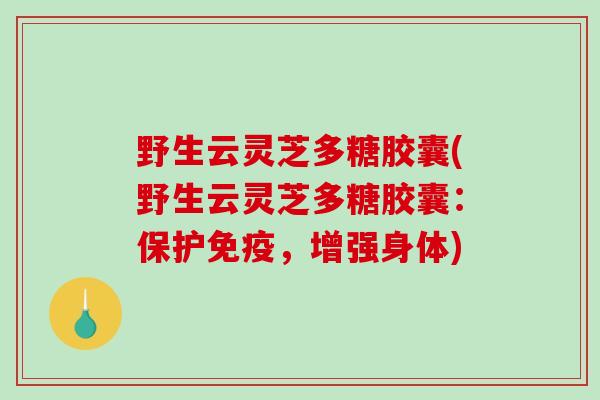 野生云灵芝多糖胶囊(野生云灵芝多糖胶囊：保护免疫，增强身体)