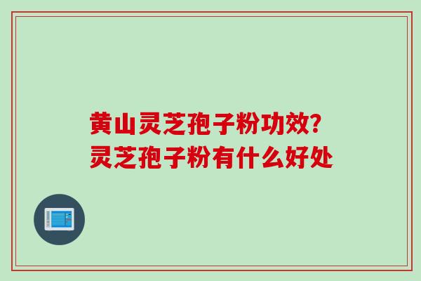 黄山灵芝孢子粉功效？灵芝孢子粉有什么好处