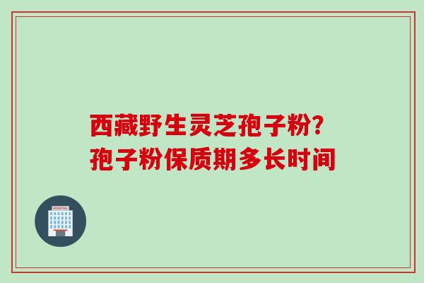 西藏野生灵芝孢子粉？孢子粉保质期多长时间