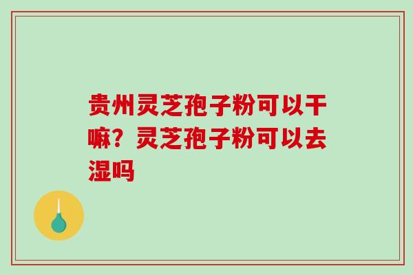 贵州灵芝孢子粉可以干嘛？灵芝孢子粉可以去湿吗