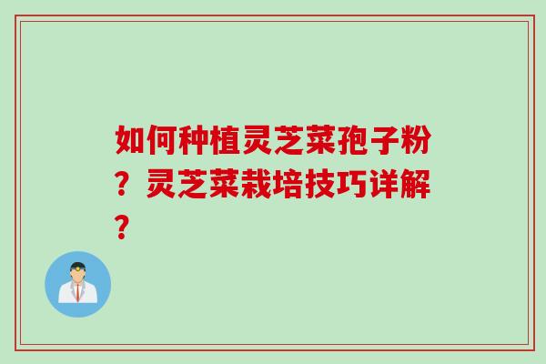 如何种植灵芝菜孢子粉？灵芝菜栽培技巧详解？