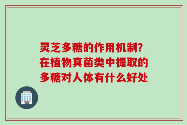 灵芝多糖的作用机制？在植物真菌类中提取的多糖对人体有什么好处