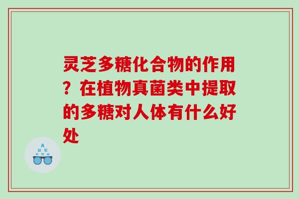 灵芝多糖化合物的作用？在植物真菌类中提取的多糖对人体有什么好处