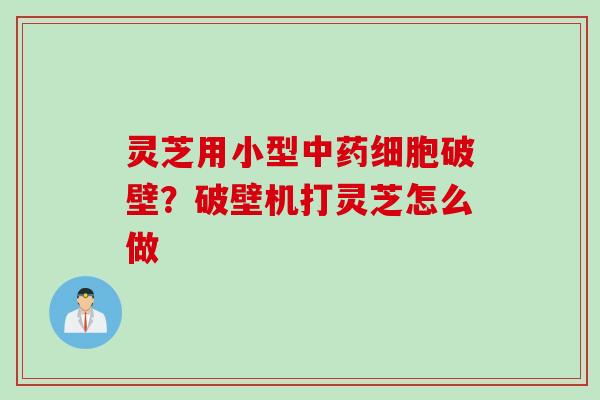 灵芝用小型中药细胞破壁？破壁机打灵芝怎么做