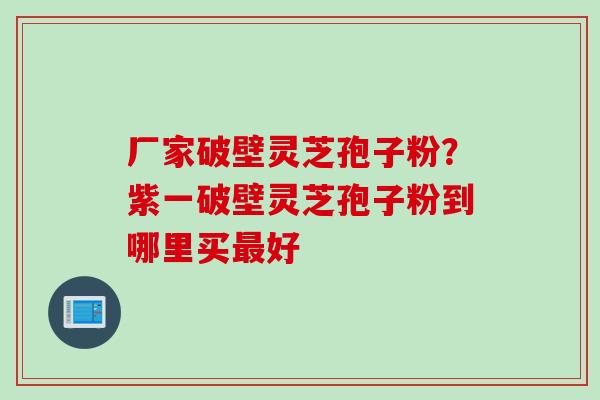 厂家破壁灵芝孢子粉？紫一破壁灵芝孢子粉到哪里买最好