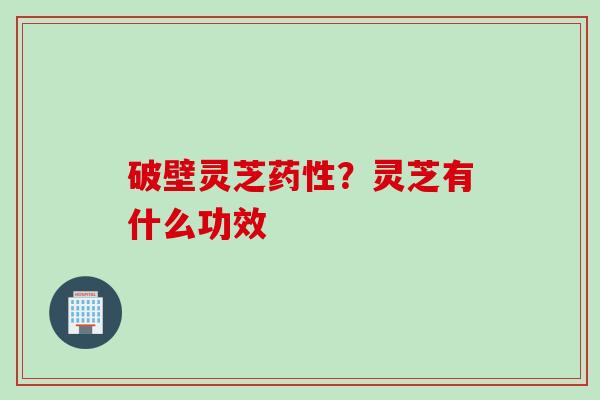 破壁灵芝药性？灵芝有什么功效
