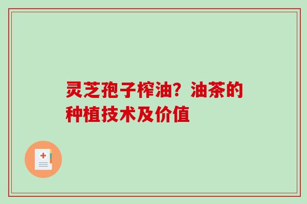 灵芝孢子榨油？油茶的种植技术及价值