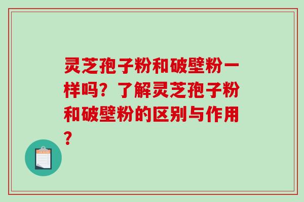 灵芝孢子粉和破壁粉一样吗？了解灵芝孢子粉和破壁粉的区别与作用？