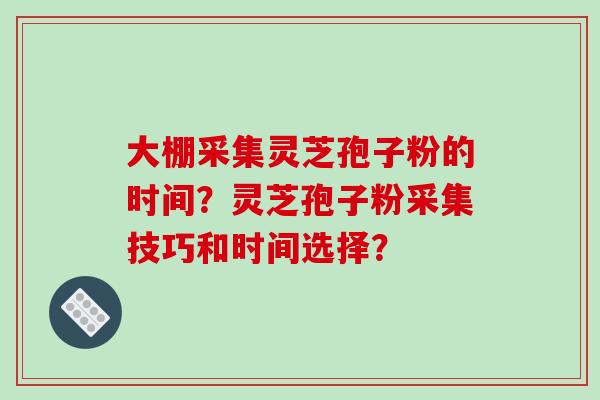大棚采集灵芝孢子粉的时间？灵芝孢子粉采集技巧和时间选择？