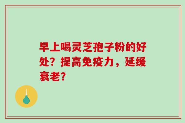 早上喝灵芝孢子粉的好处？提高免疫力，延缓衰老？