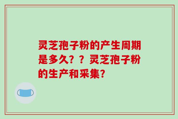 灵芝孢子粉的产生周期是多久？？灵芝孢子粉的生产和采集？