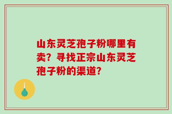 山东灵芝孢子粉哪里有卖？寻找正宗山东灵芝孢子粉的渠道？