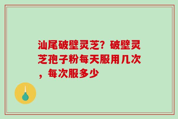 汕尾破壁灵芝？破壁灵芝孢子粉每天服用几次，每次服多少