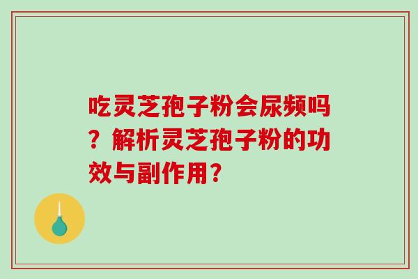 吃灵芝孢子粉会尿频吗？解析灵芝孢子粉的功效与副作用？