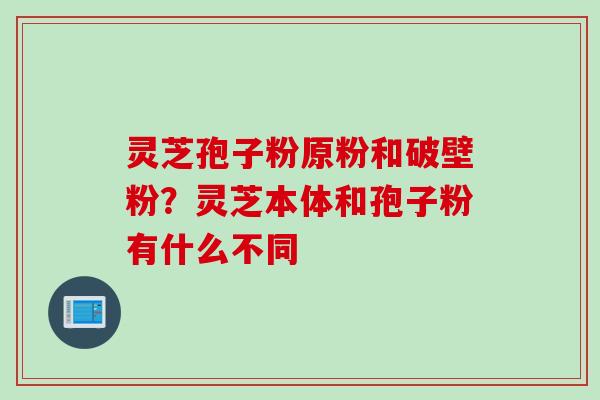 灵芝孢子粉原粉和破壁粉？灵芝本体和孢子粉有什么不同