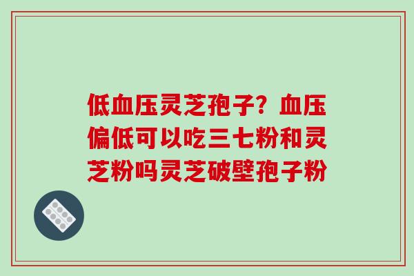 低血压灵芝孢子？血压偏低可以吃三七粉和灵芝粉吗灵芝破壁孢子粉