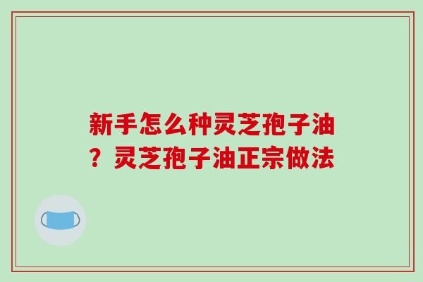 新手怎么种灵芝孢子油？灵芝孢子油正宗做法